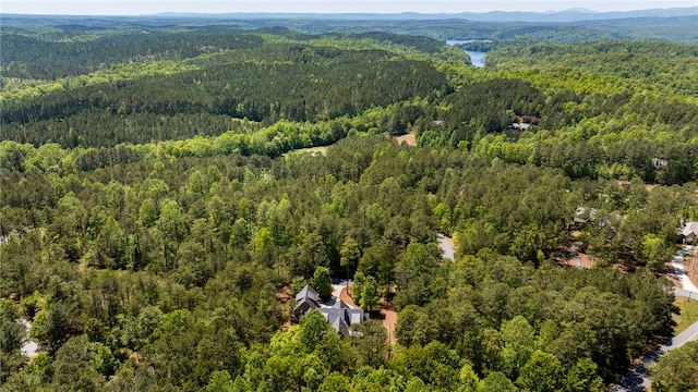 drone / aerial view featuring a mountain view and a forest view