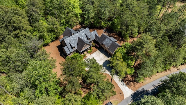 bird's eye view