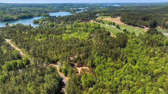 100 Northington Ct, Sunset, SC 29685 - photo 5