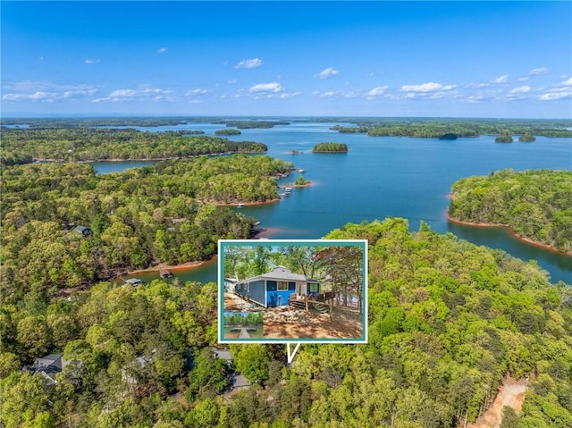 243 Beaver Lodge Rd, Hartwell, GA 30643 - aerial overview of property's location featuring a heavily wooded area, property parcel outlined, and a large body of water