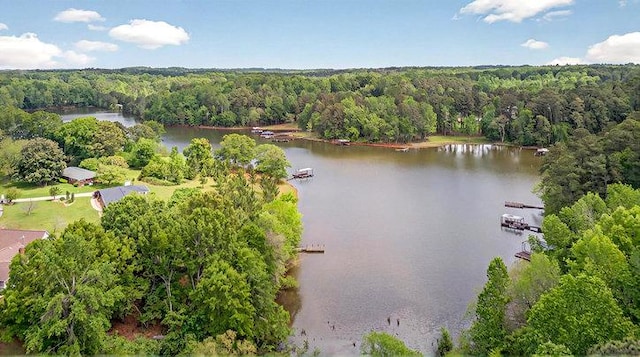 304 Arcadia Dr, Anderson, SC 29621 - photo 41