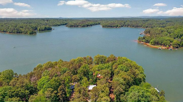 birds eye view of property with a water view and a wooded view