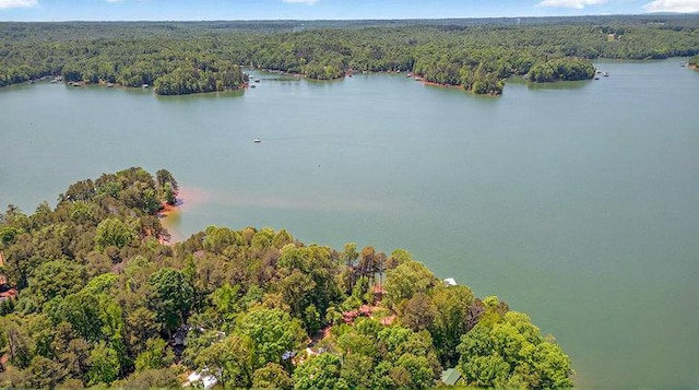 drone / aerial view featuring a water view and a forest view