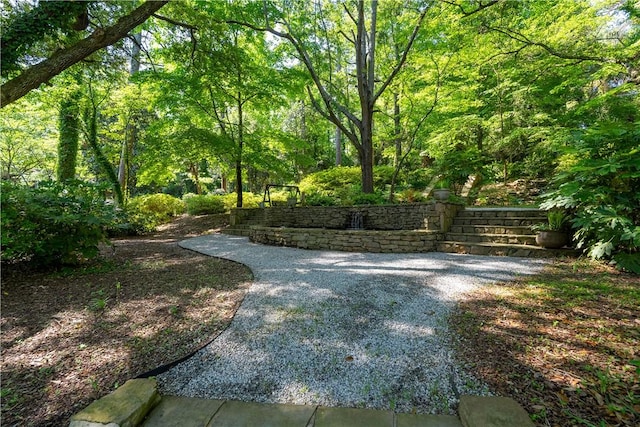 view of yard with a view of trees