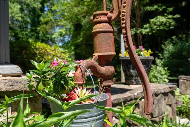 view of details