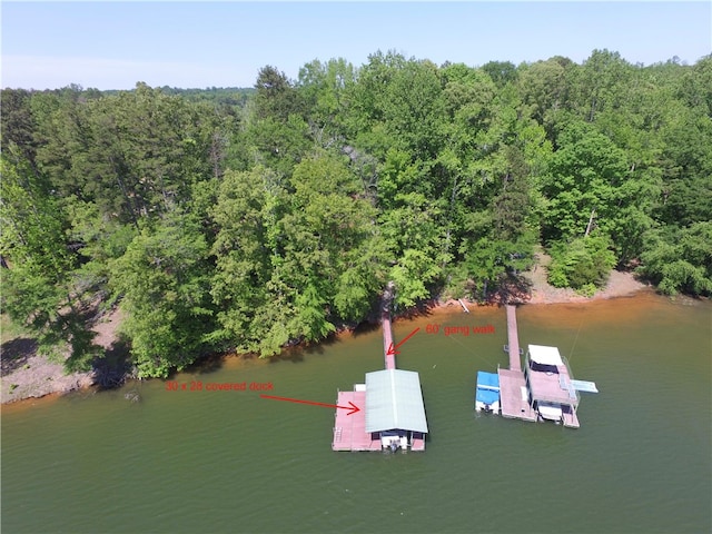 bird's eye view featuring a water view and a wooded view