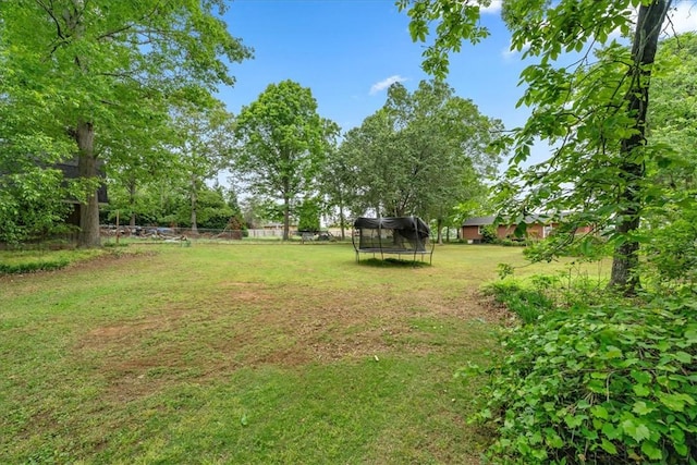 view of yard with a trampoline