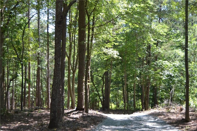 913 Paynes Creek Rd, Hartwell, GA 30643
