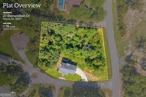 bird's eye view