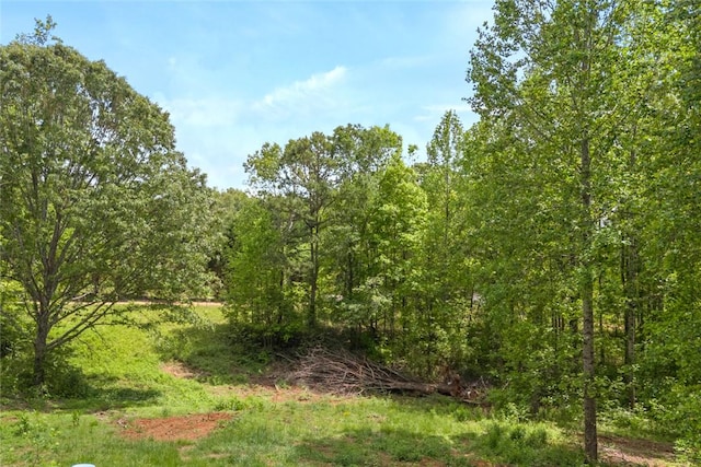 505 Mulkey Dr, Westminster, SC 29693 - photo 10
