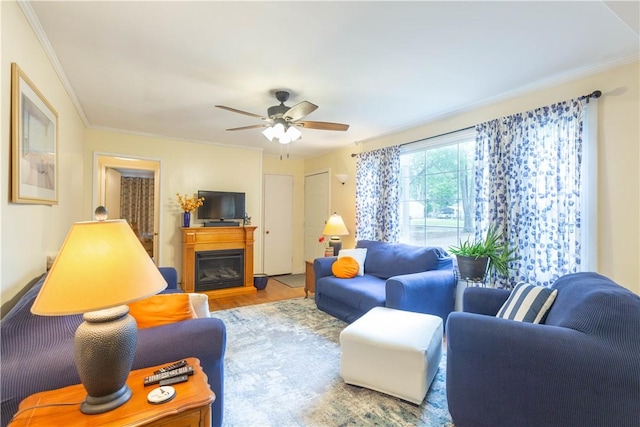 living room featuring crown molding, ceiling fan, wood finished floors, and a fireplace