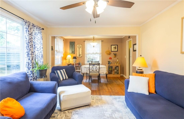living room featuring plenty of natural light, crown molding, ceiling fan, and wood finished floors