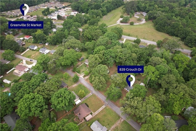 bird's eye view