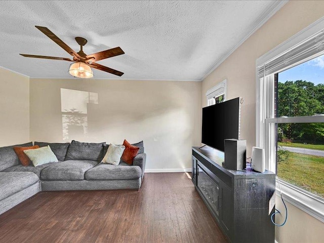 415 Van Martin Rd, Anderson, SC 29621 - living area with ceiling fan, wood-type flooring, a textured ceiling, baseboards, and ornamental molding