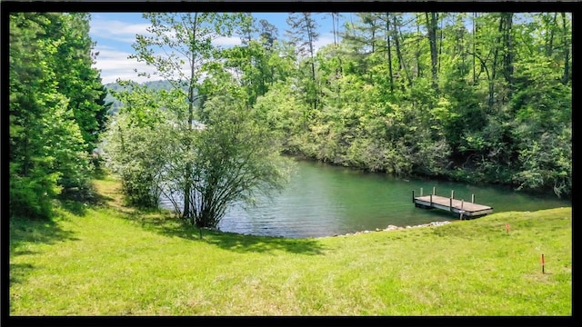 49 Longshore Dr, Salem, SC 29676