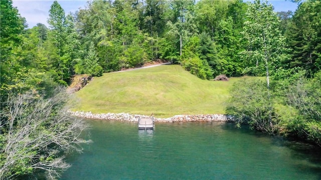 49 Longshore Dr, Salem, SC 29676
