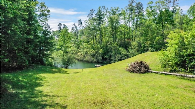 49 Longshore Dr, Salem, SC 29676