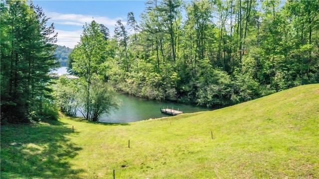 49 Longshore Dr, Salem, SC 29676