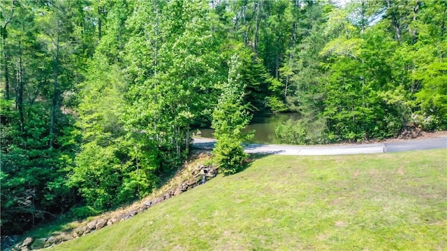 49 Longshore Dr, Salem, SC 29676