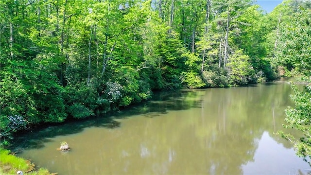 49 Longshore Dr, Salem, SC 29676