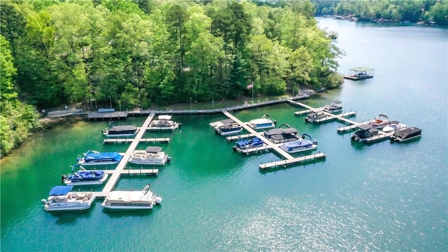 49 Longshore Dr, Salem, SC 29676