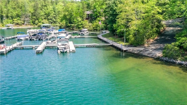 49 Longshore Dr, Salem, SC 29676