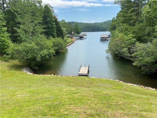 49 Longshore Dr, Salem, SC 29676
