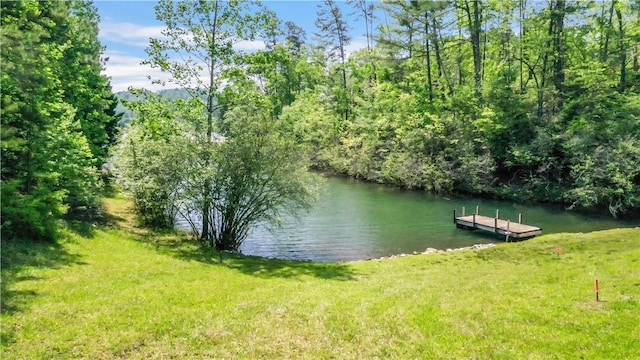 49 Longshore Dr, Salem, SC 29676 - photo 5