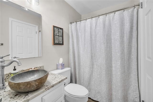 full bath with vanity and toilet