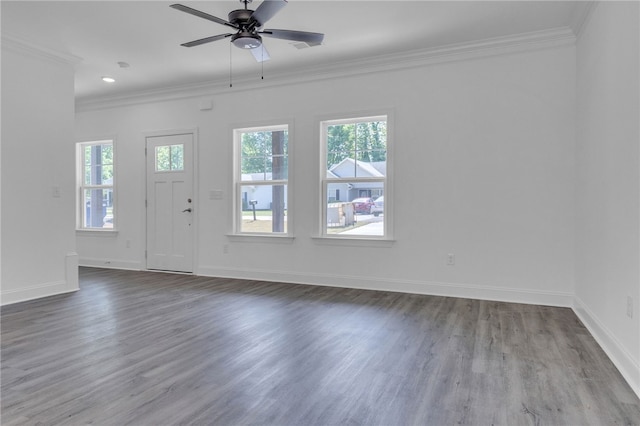 entrance foyer with crown molding, a ceiling fan, a wealth of natural light, and wood finished floors