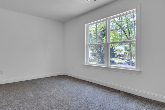 carpeted empty room with baseboards and a wealth of natural light