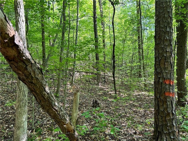 LOT10 Blackjack Cove Rd, Westminster, SC 29693
