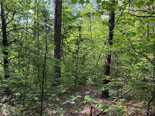 LOT10 Blackjack Cove Rd, Westminster, SC 29693