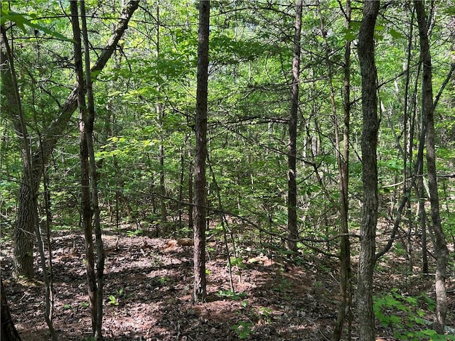 LOT10 Blackjack Cove Rd, Westminster, SC 29693