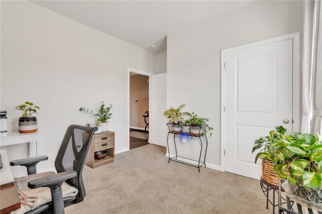 201 Sweetgrass Ln, Piedmont, SC 29673 - office with baseboards and light carpet