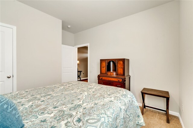 201 Sweetgrass Ln, Piedmont, SC 29673 - bedroom featuring baseboards and light colored carpet