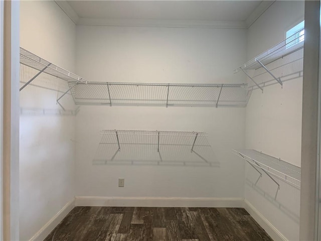 204 Rock Creek Rd, Anderson, SC 29625 - walk in closet with dark wood-style floors
