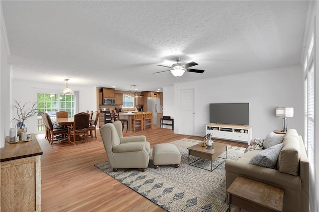 living room featuring light wood-type flooring, a textured ceiling, and ceiling fan