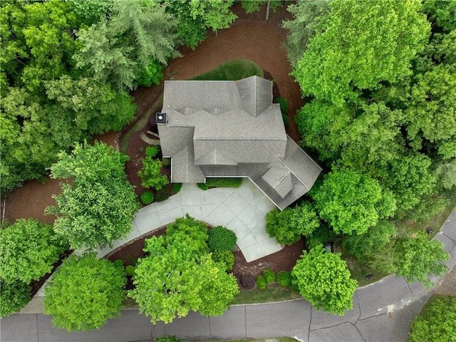 bird's eye view