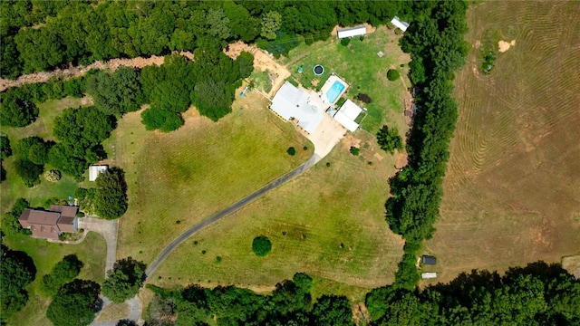 bird's eye view