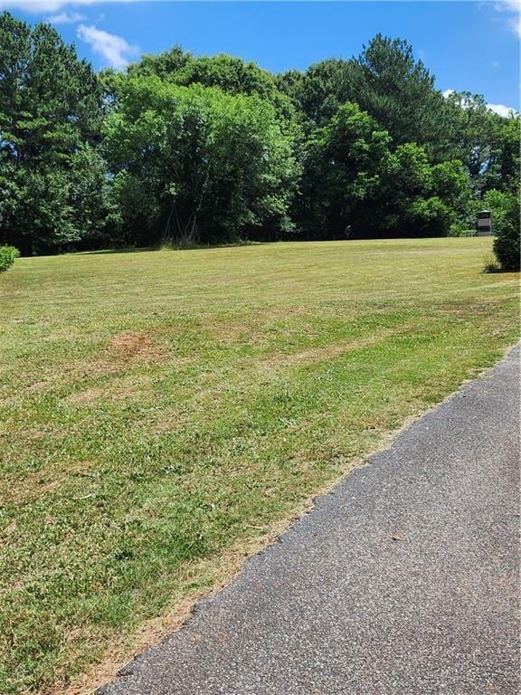 view of yard featuring a forest view
