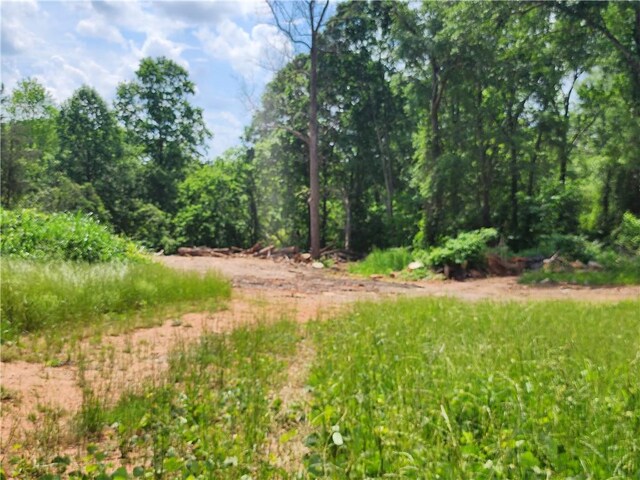 000 Squirrel Dr, Anderson, SC 29625 - photo 5