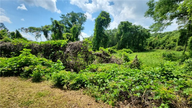 000 Squirrel Dr, Anderson, SC 29625 - photo 6