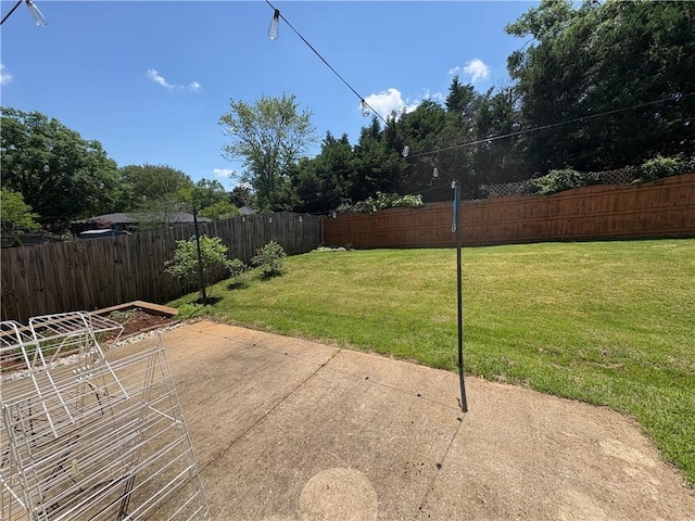 view of yard with a patio and a fenced backyard