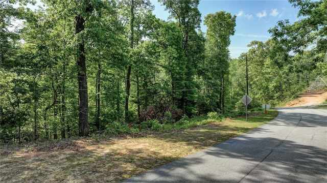 00 Ridge Point Rd, Easley, SC 29640 - photo 2