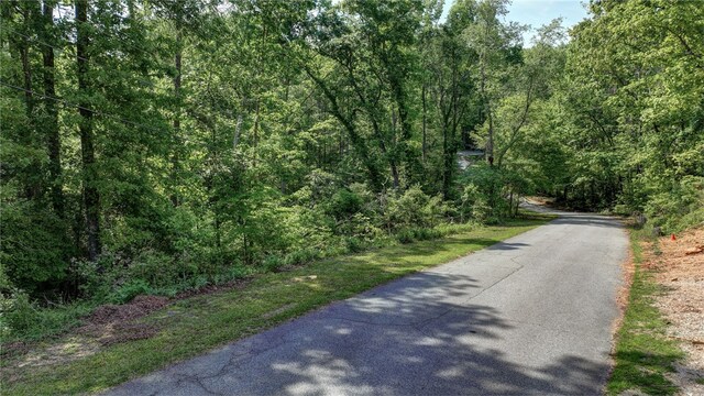 00 Ridge Point Rd, Easley, SC 29640 - photo 10