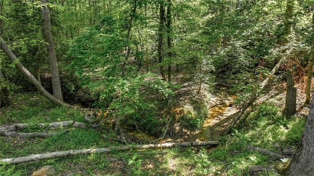 00 Ridge Point Rd, Easley, SC 29640 - photo 11