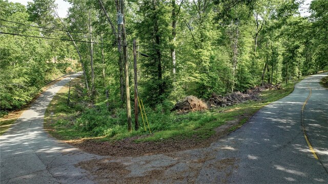 00 Ridge Point Rd, Easley, SC 29640 - photo 12
