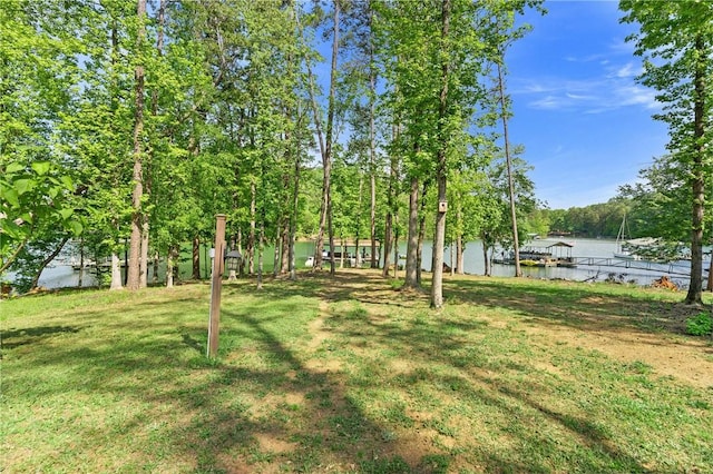 view of yard featuring a water view
