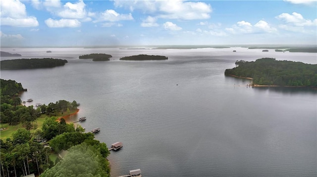 15C Hartwell Villas, Anderson, SC 29626 - property view of water